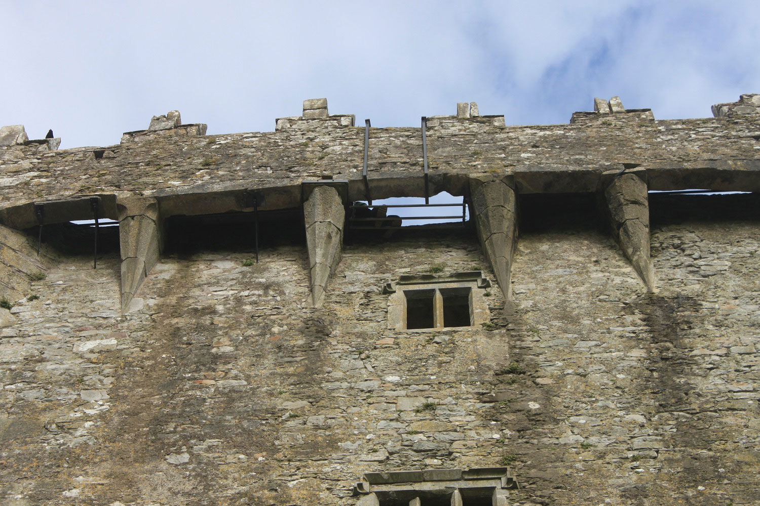 Blarney Castle