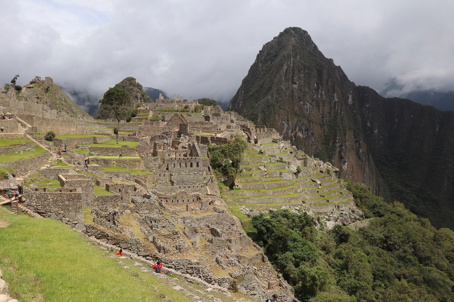 Machu Picchu