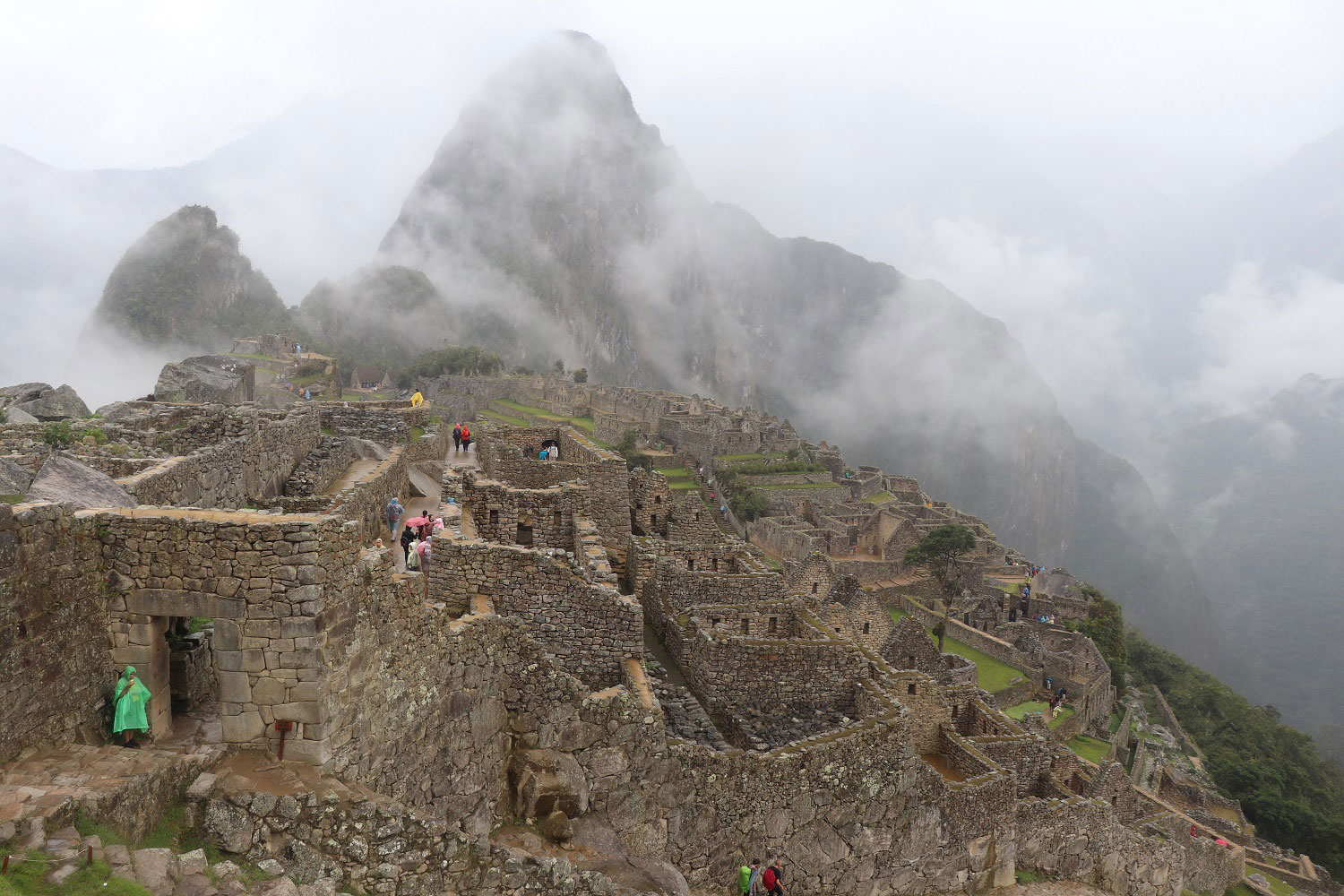 Machu Picchu