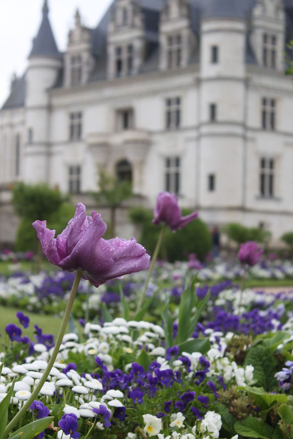 Chateau de Chenonceau, Loire Valley