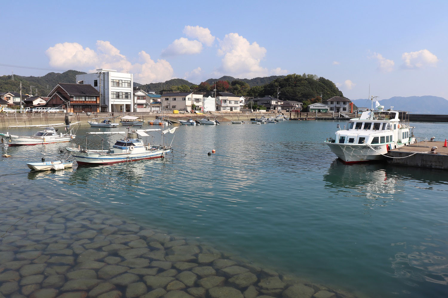 Okunoshima (Rabbit Island)