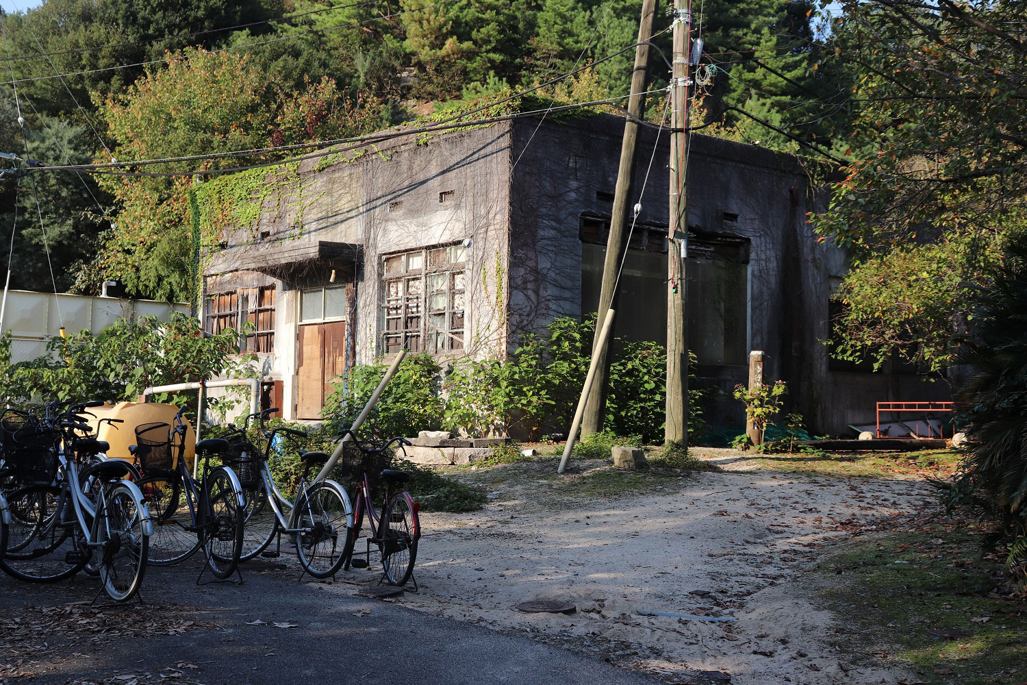 Okunoshima (Rabbit Island)