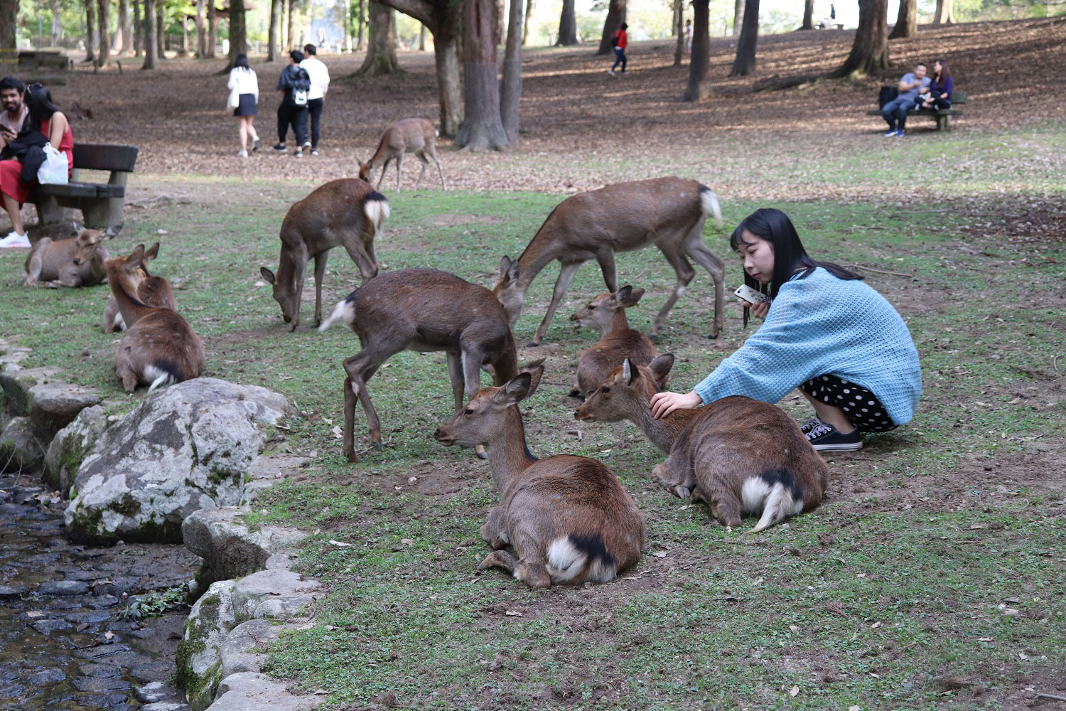 Nara, Japan