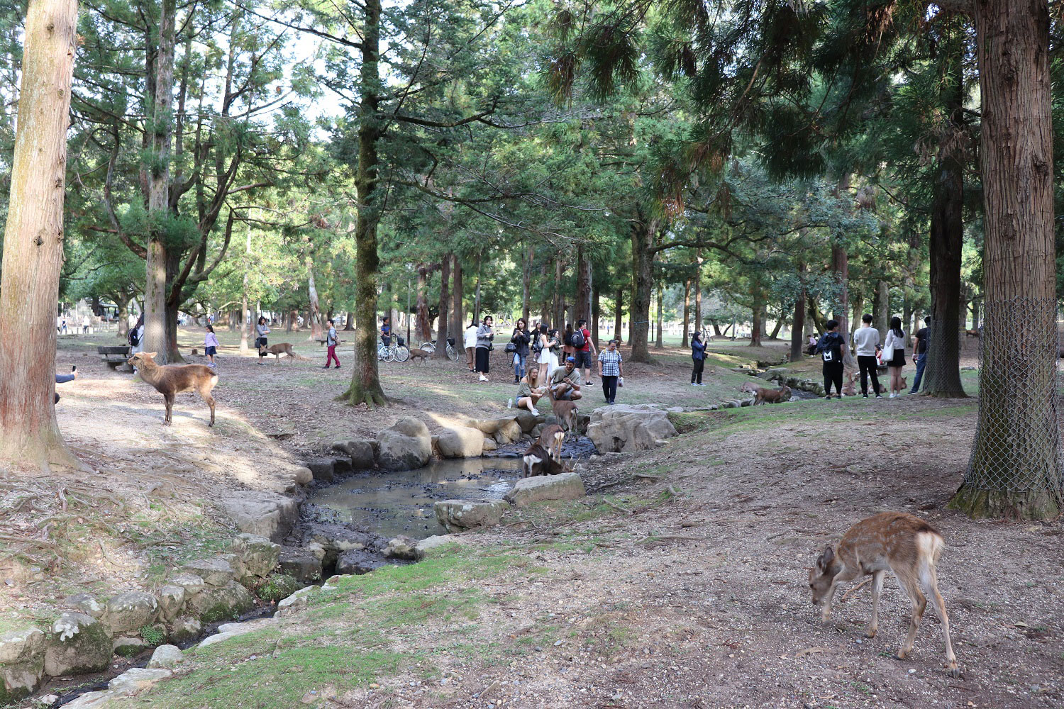 Nara, Japan