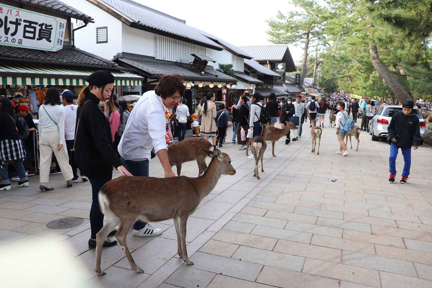 Nara, Japan