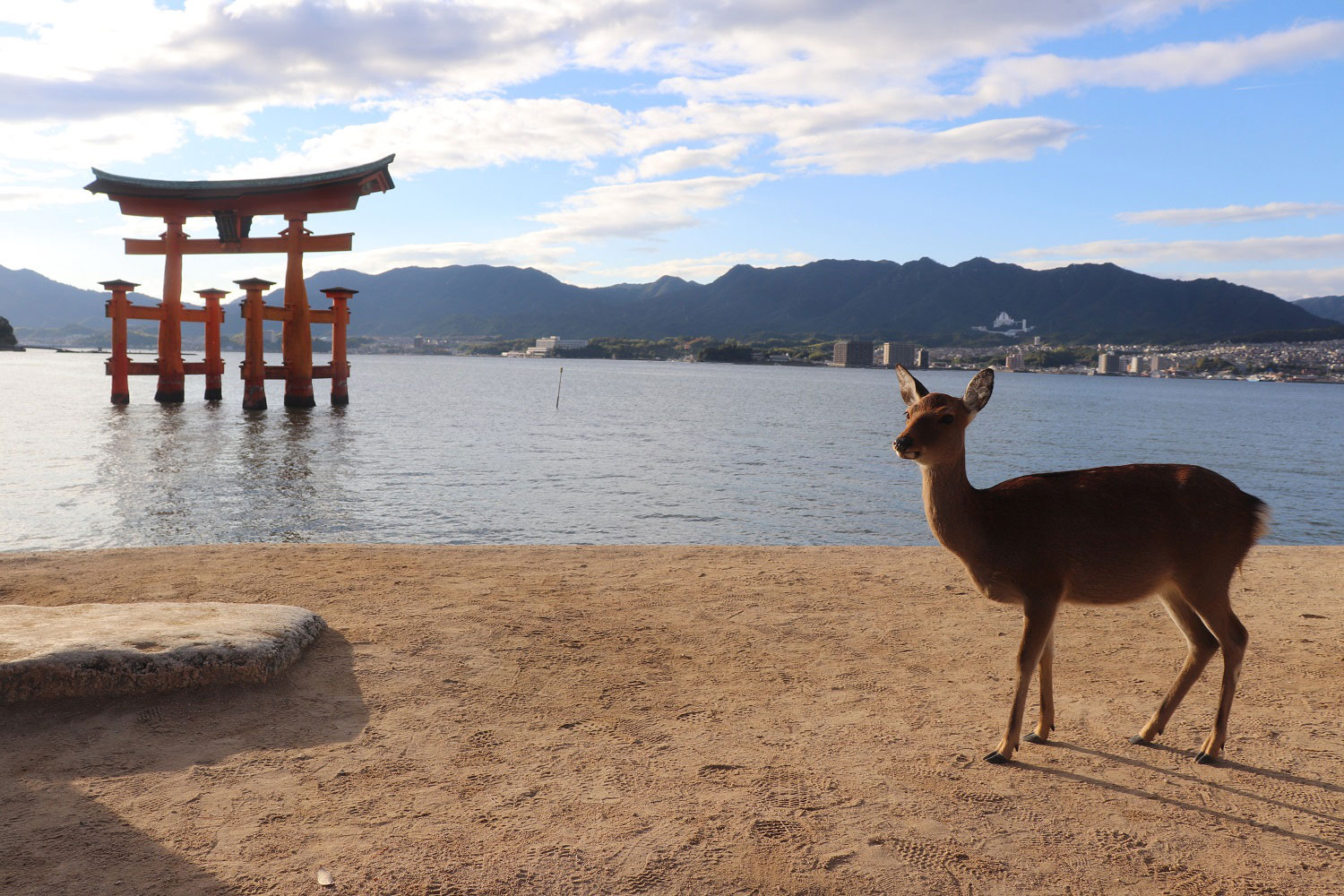 Itsukushima, Miyajima, Japan