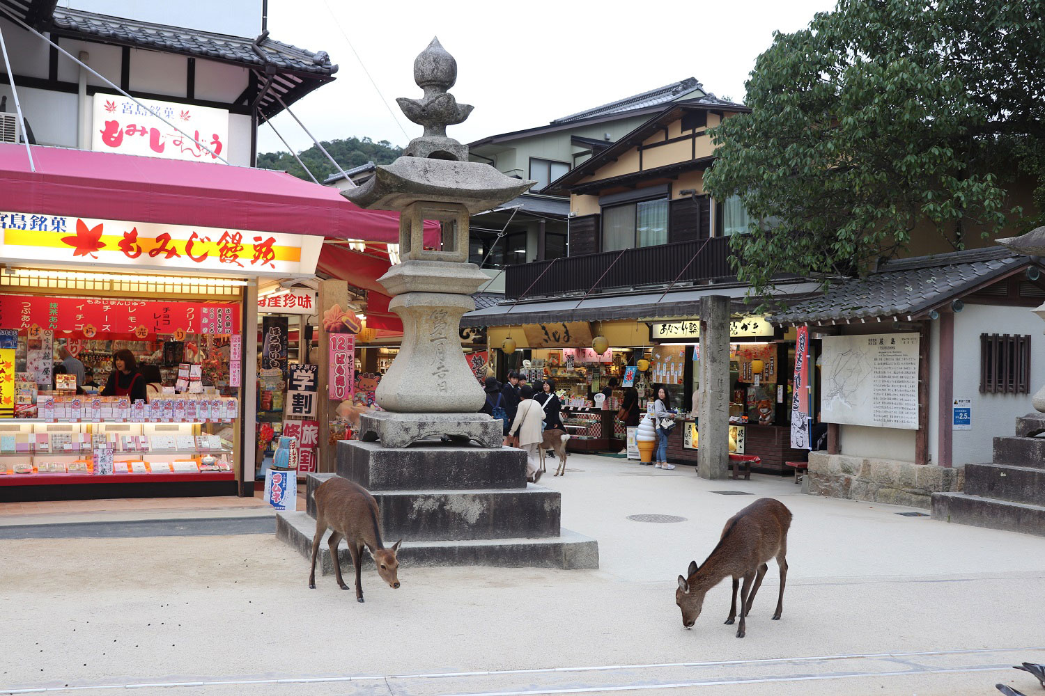 Itsukushima, Miyajima, Japan