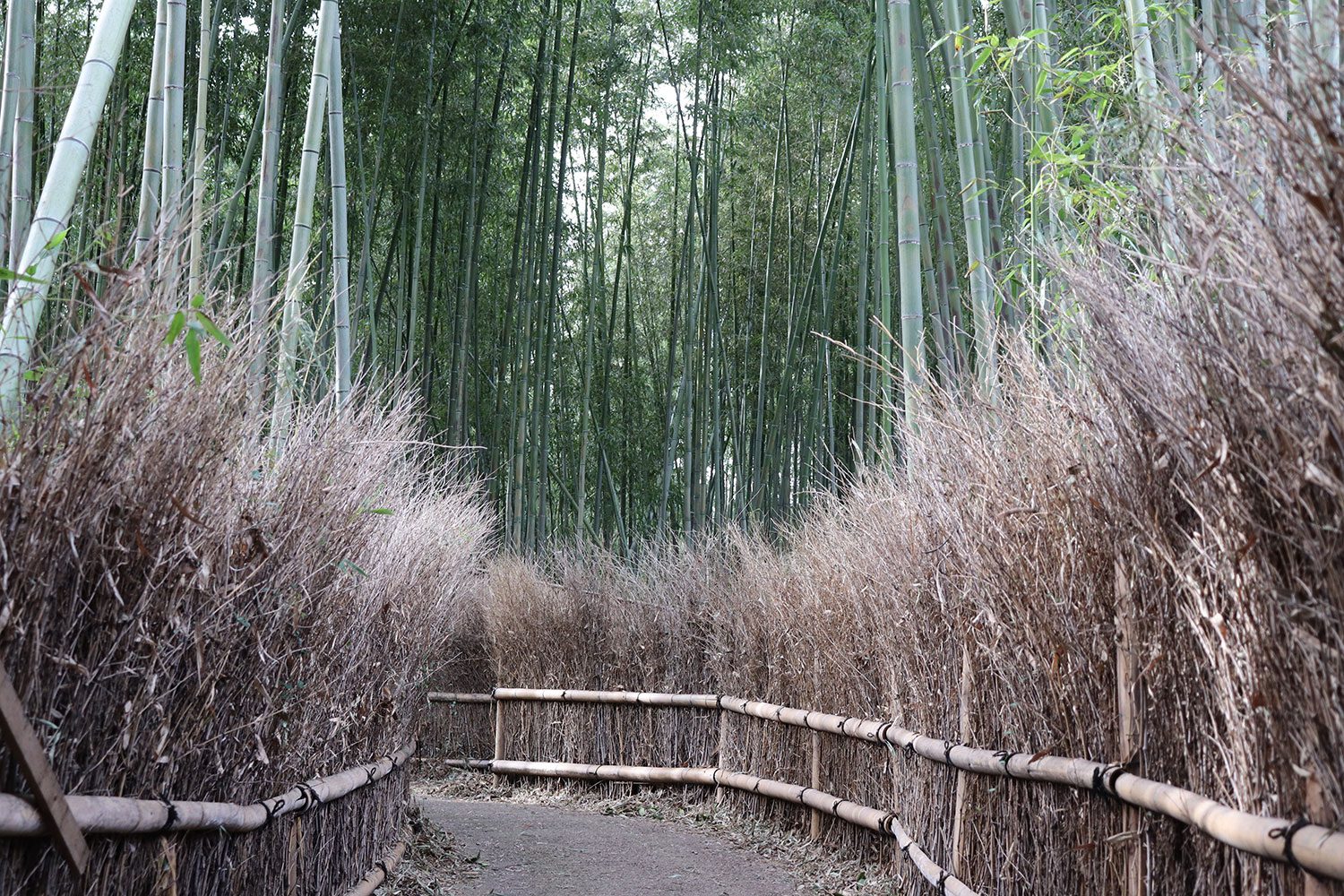 Kyoto