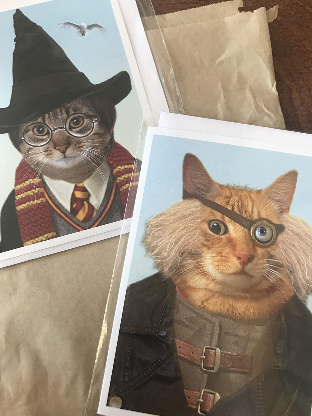 Harry Potter as a Cat: Harry Potter's Edinburgh