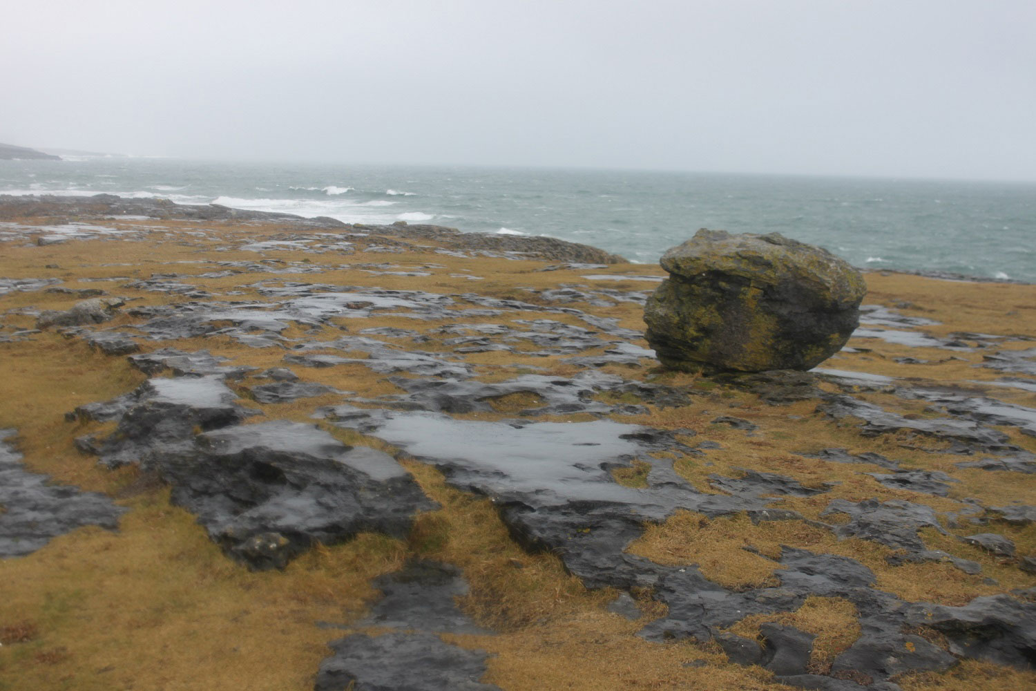 The Burren: Nature in Ireland