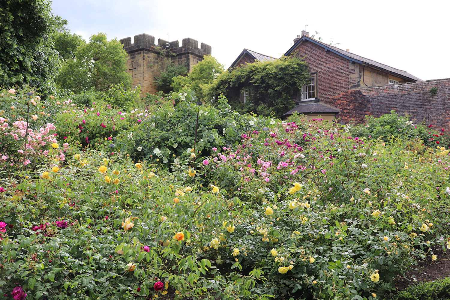 Alnwick Gardens