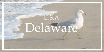 /Delaware