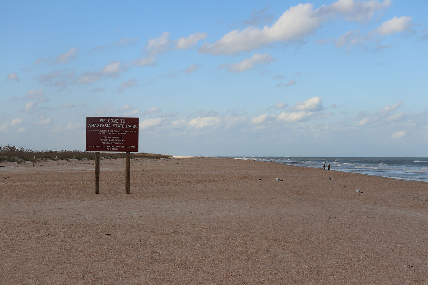 Anastasia State Park Beach, St Augustine, Florida