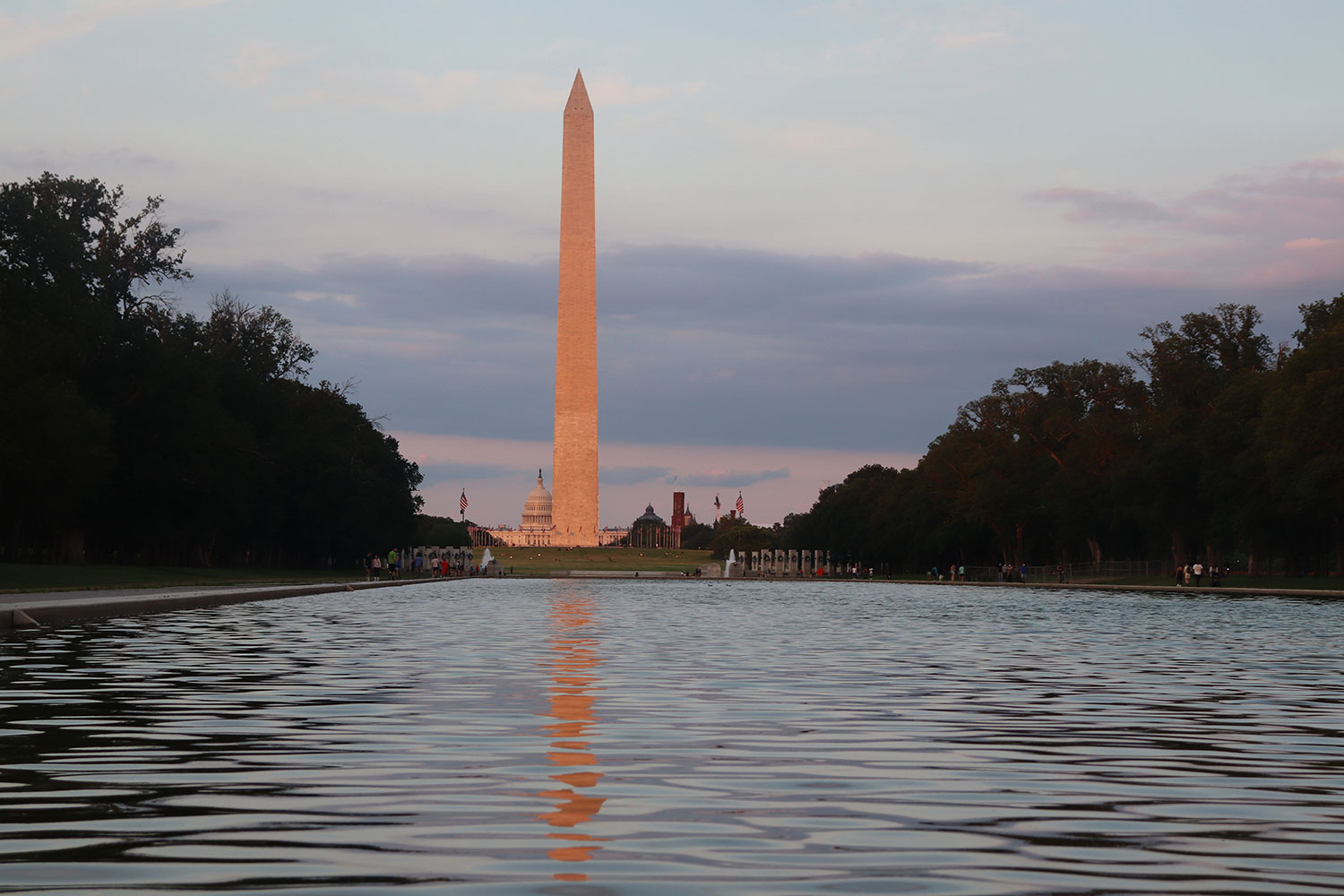 A Lifelong Local's Washington, DC Travel Guide