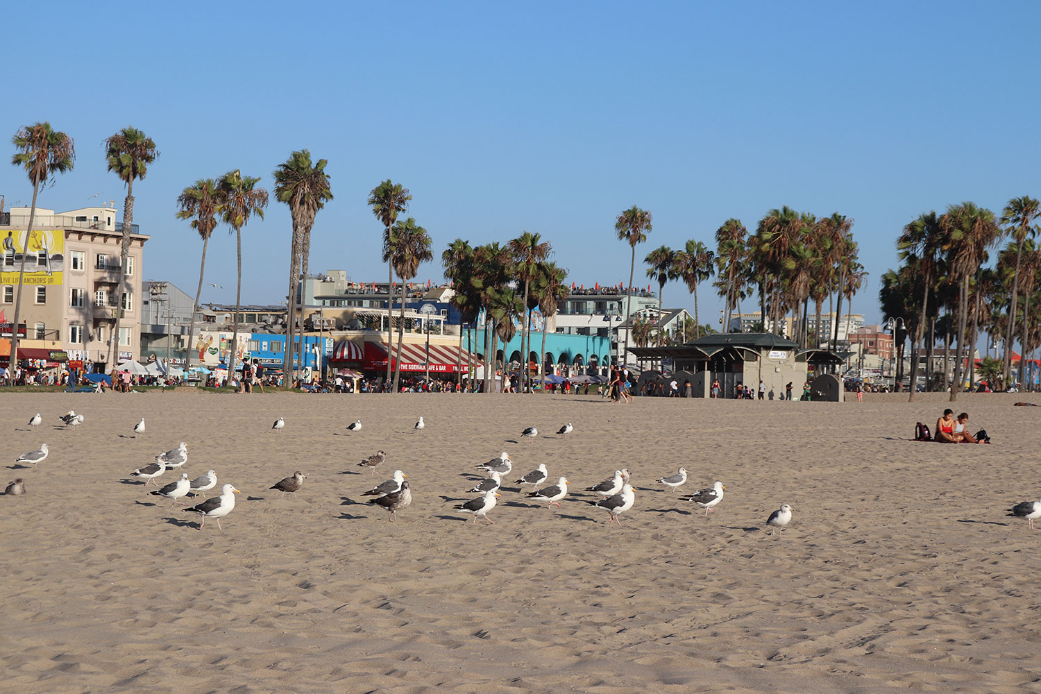 Venice Beach, California