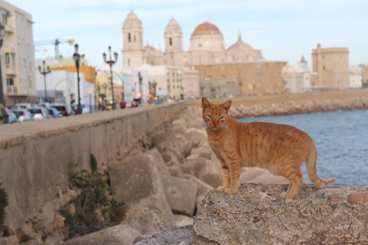 Cadiz, Spain