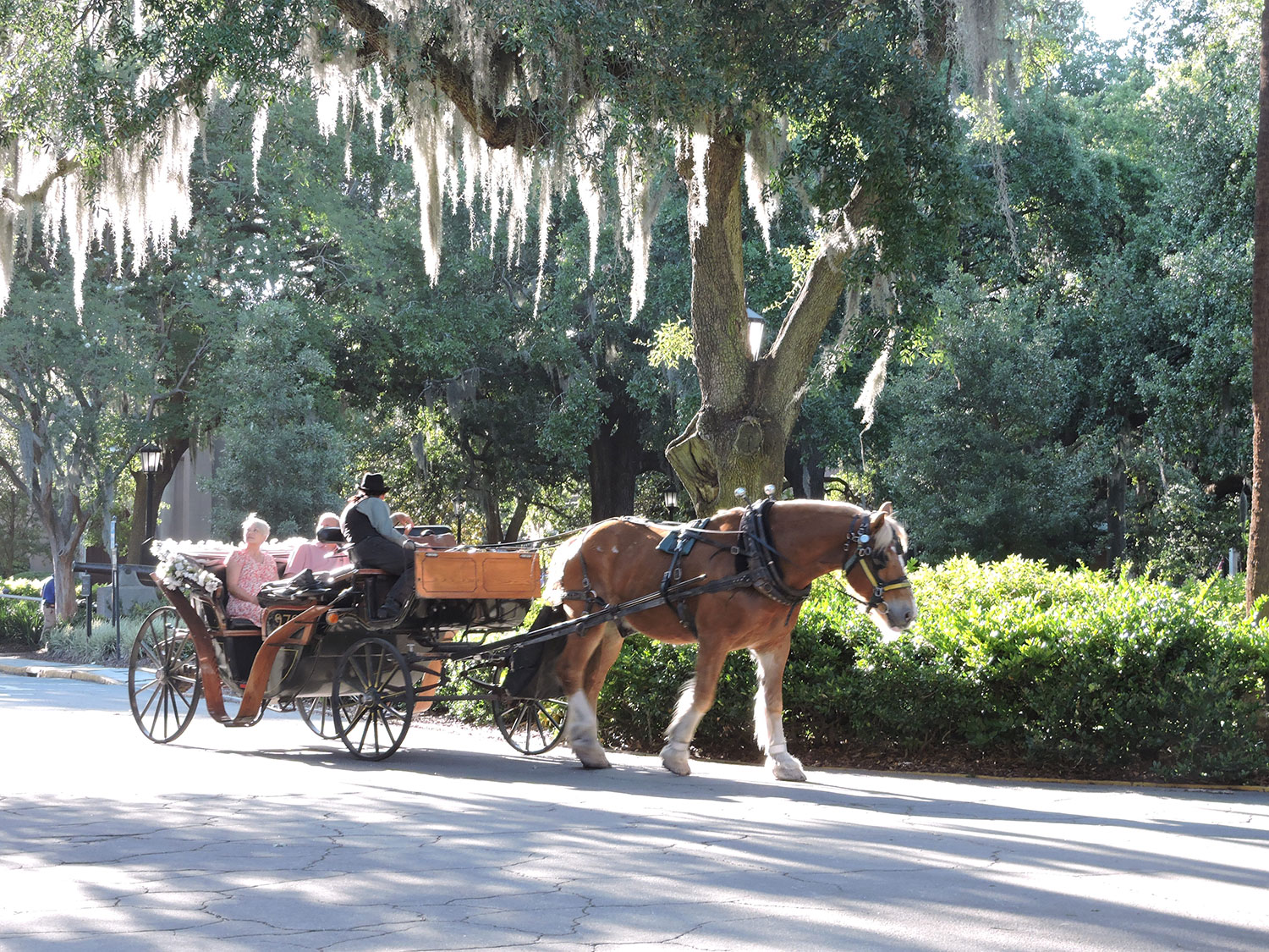 Savannah, Georgia