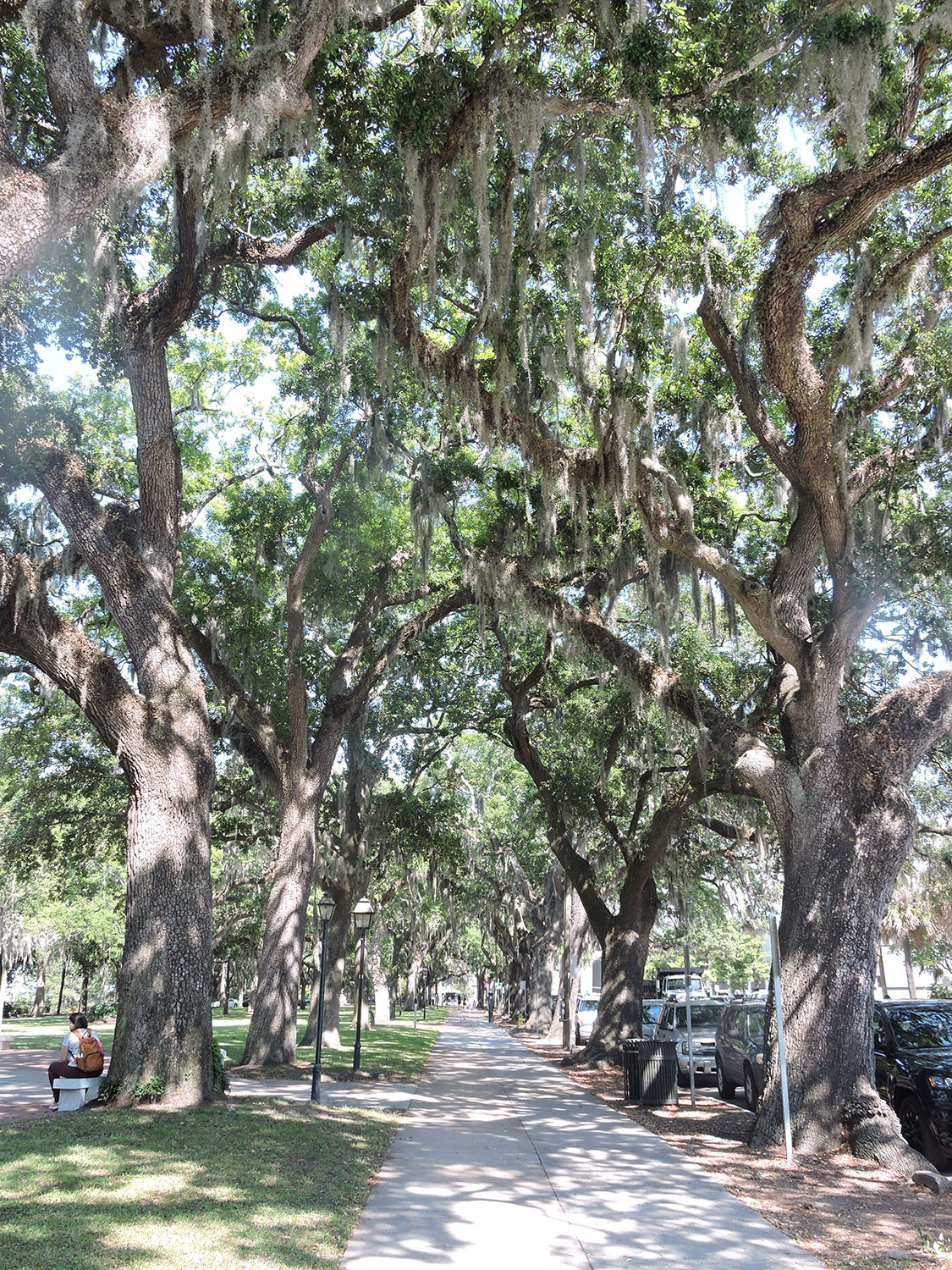 Savannah, Georgia