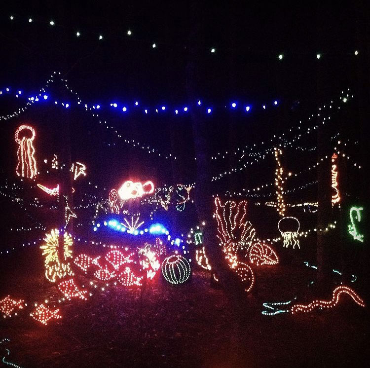 Annmarie Gardens, Holiday Season in Maryland