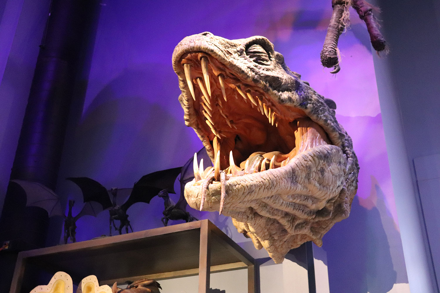 The Basilisk, Harry Potter Studio Tour