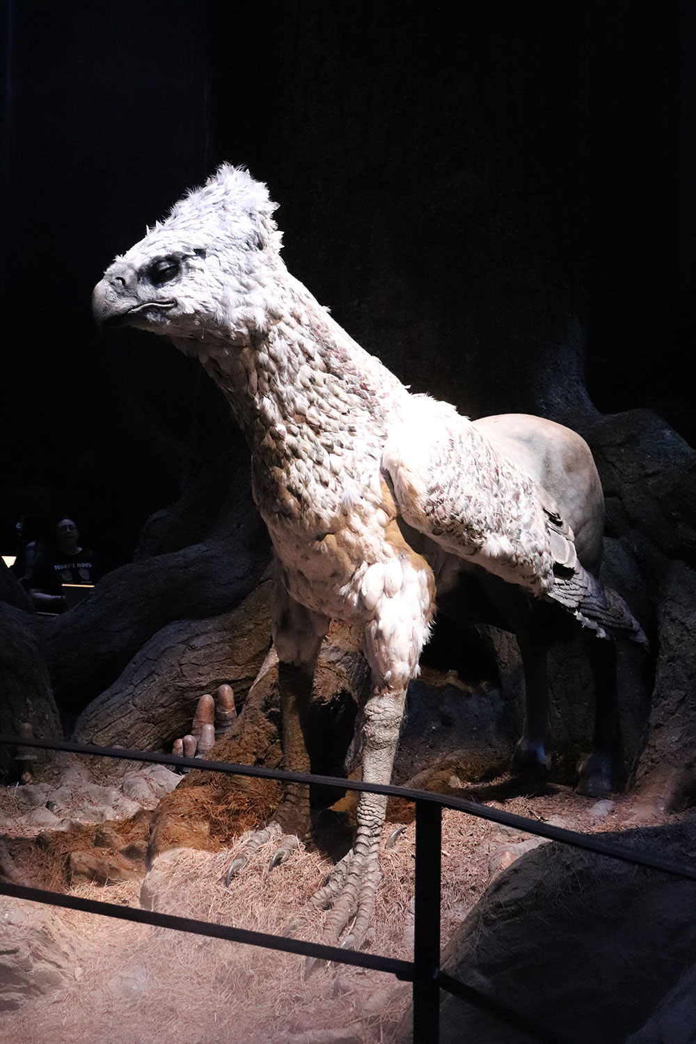 Buckbeak, Harry Potter Studio Tour