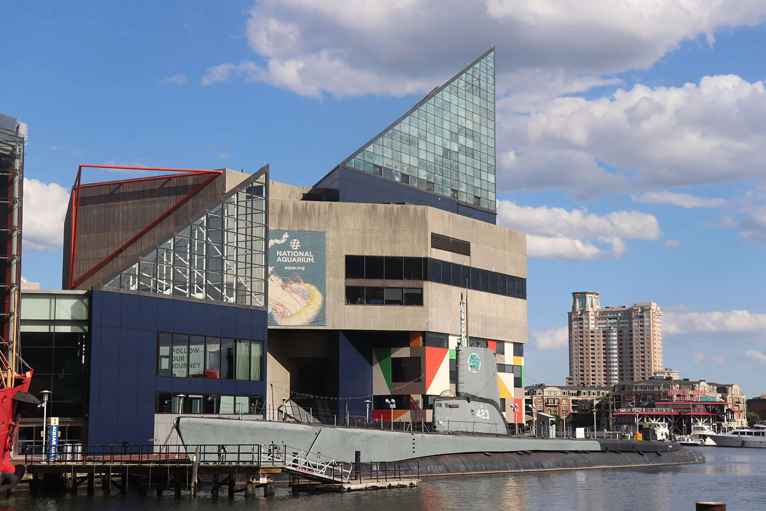 Things to Do in Baltimore: The National Aquarium