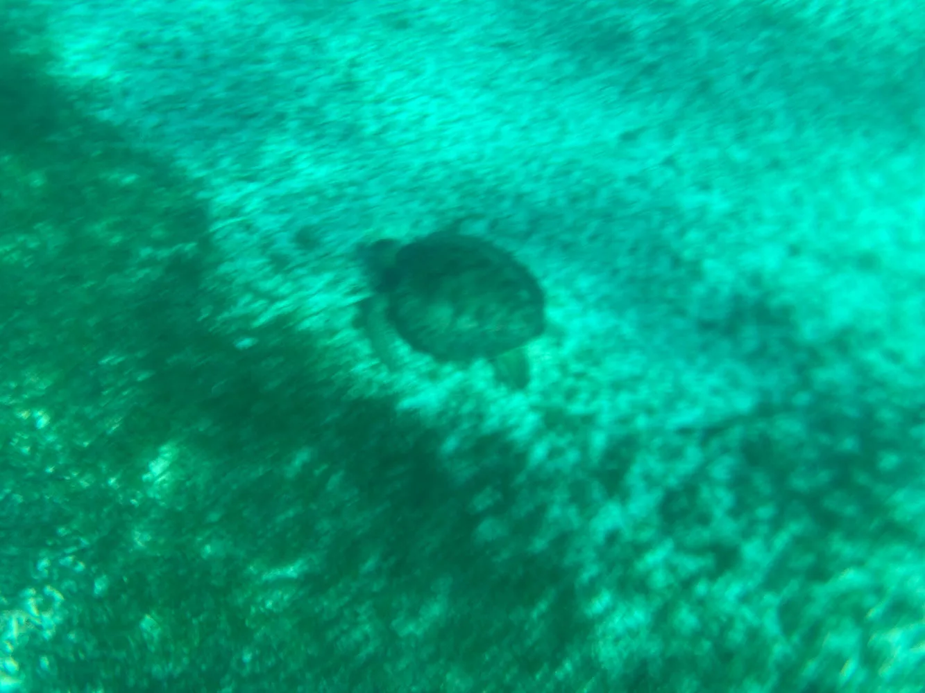 Snorkelling in Cozumel