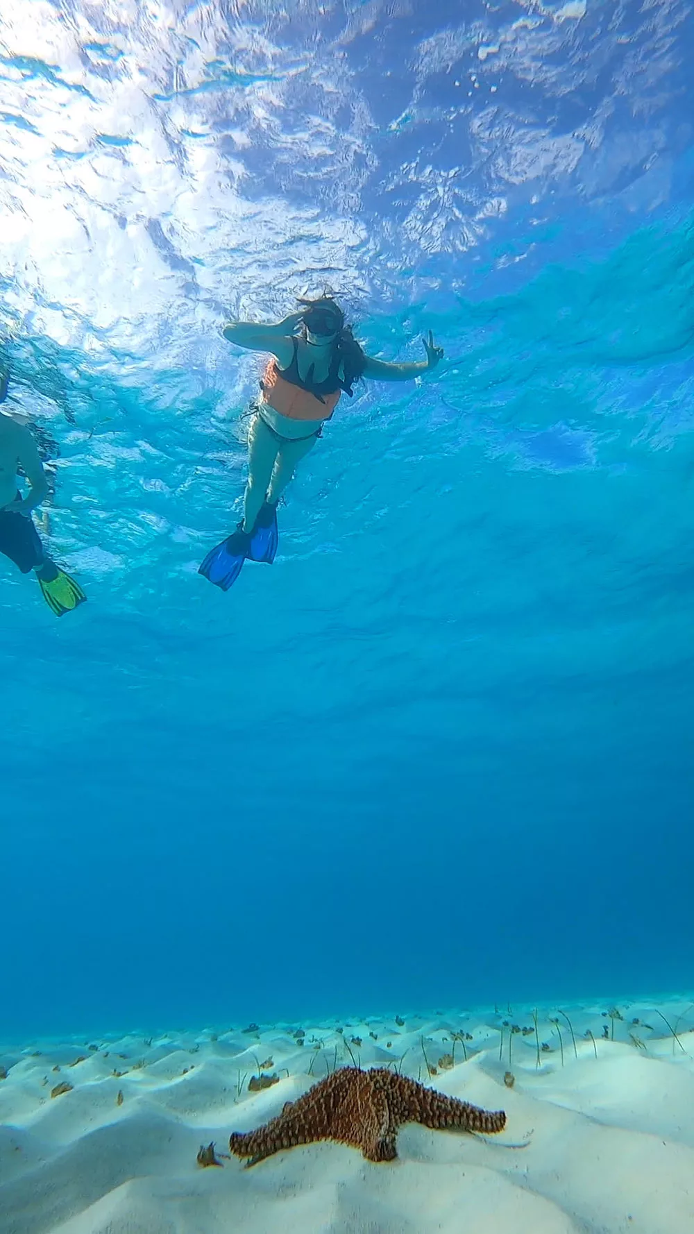Snorkelling in El Cielo, Cozumel