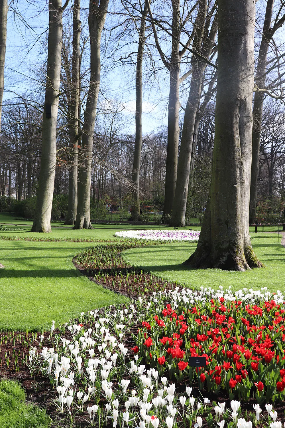 Keukenhof Gardens in March