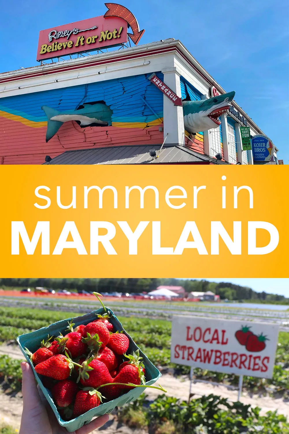 Things to Do During Summer in Maryland