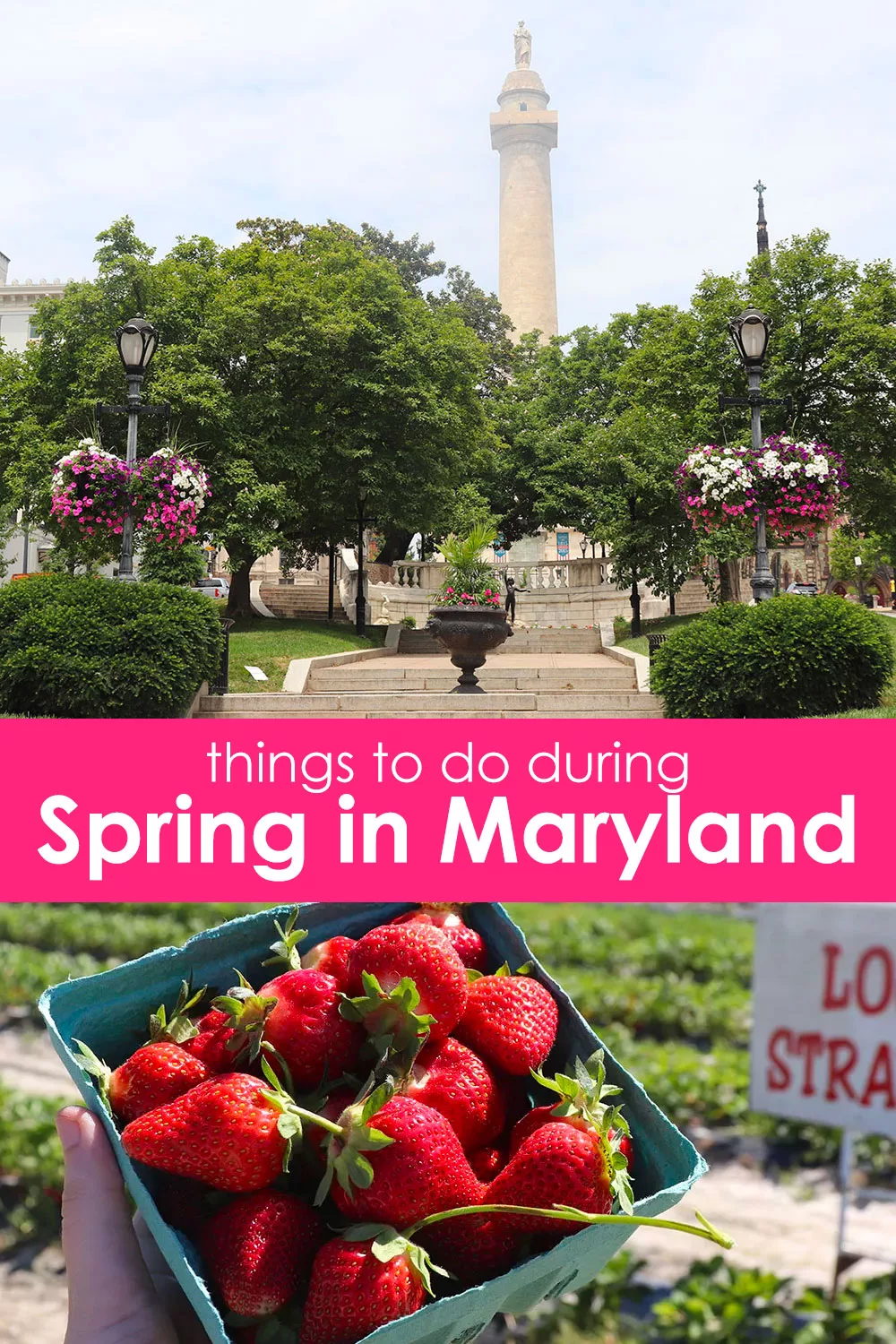 Things to Do During Spring in Maryland