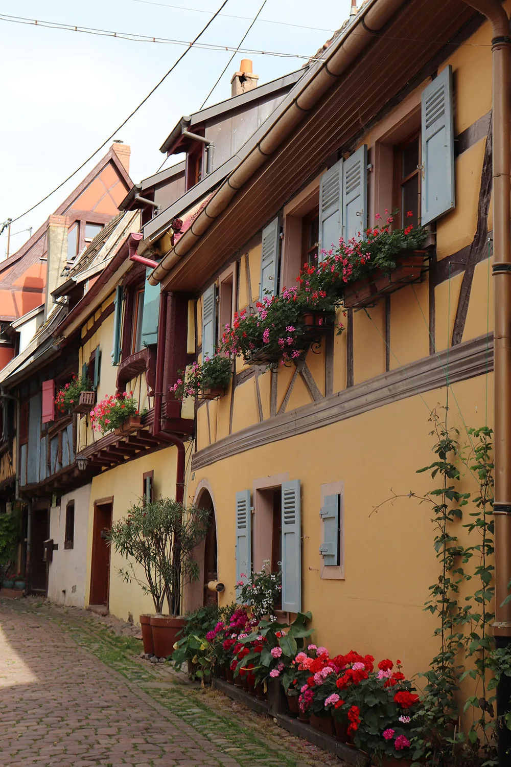 Eguisheim