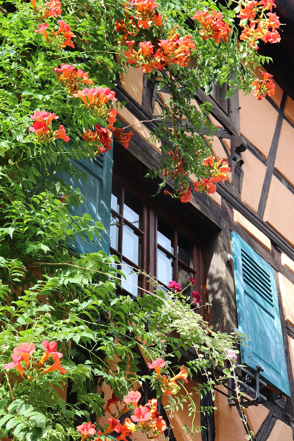 Eguisheim