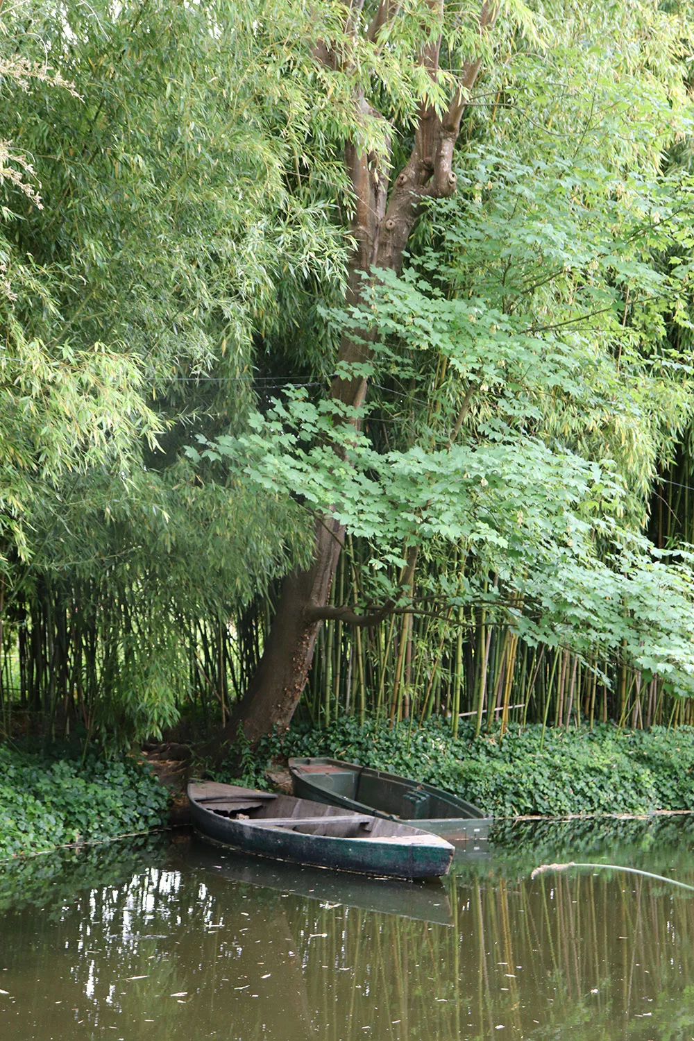 Waterlily Pond, Giverny