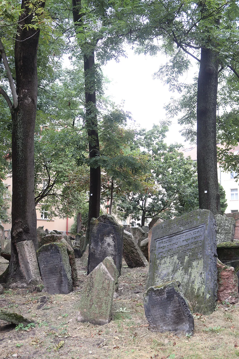 Jewish Cemetery, Prague