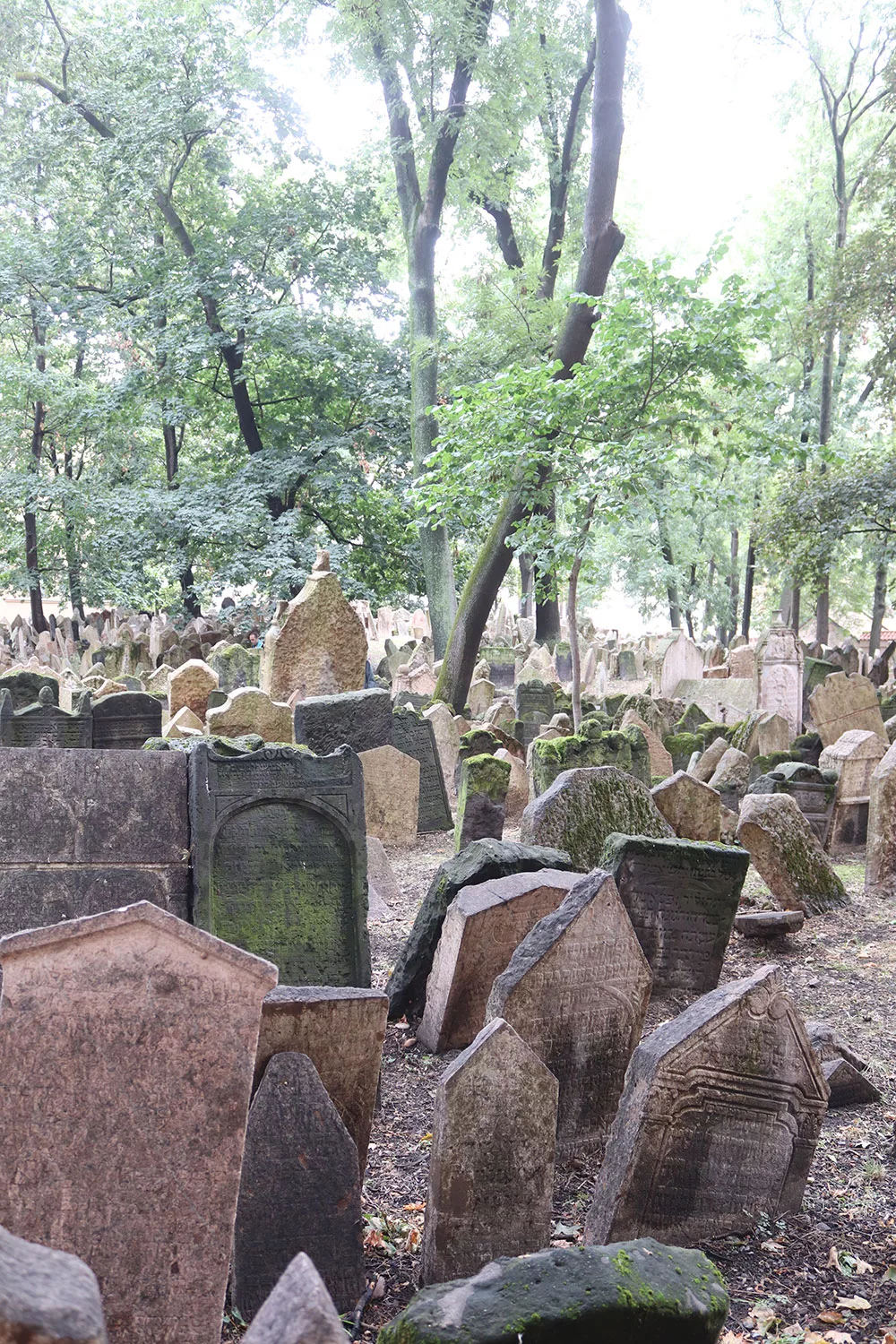 Jewish Cemetery, Prague