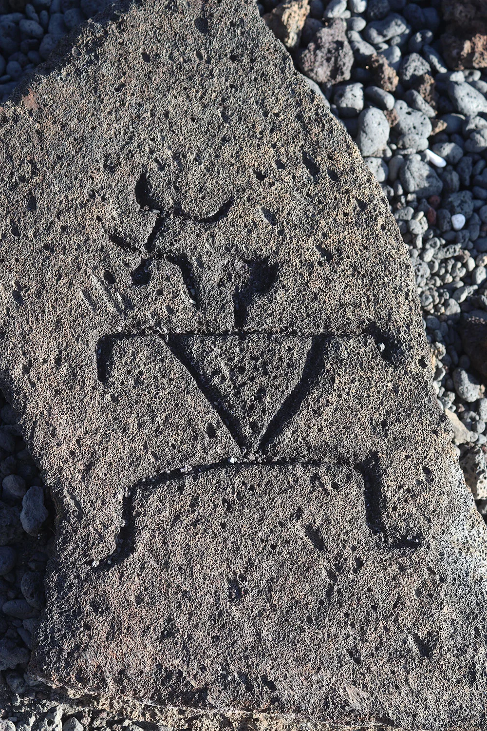 Things to Do on Big Island Hawaii: Puako Petroglyphs