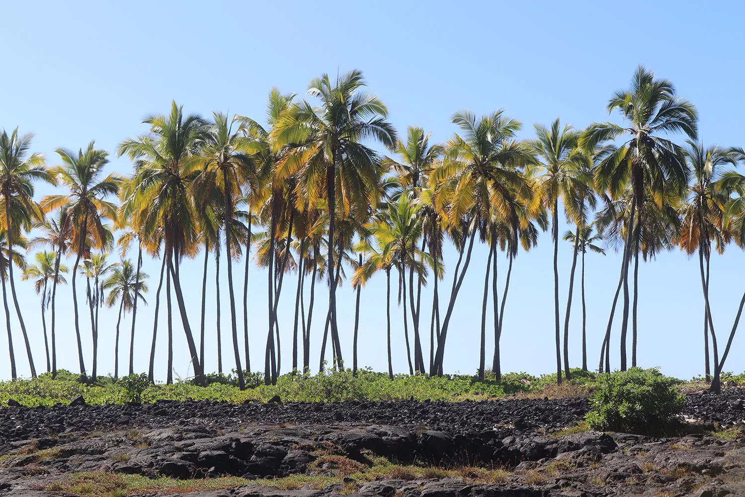 Big Island Hawaii